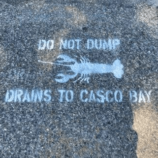 drains to casco bay stencil