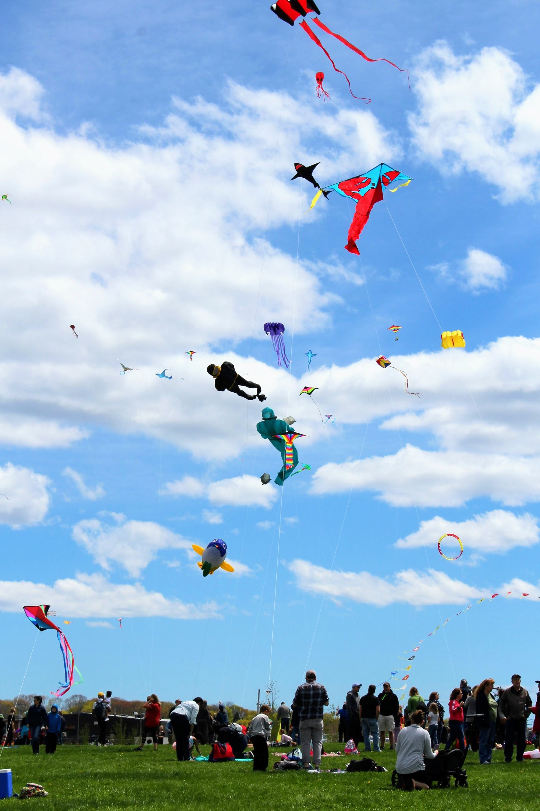 Kites Flying by Deidra Levasseur